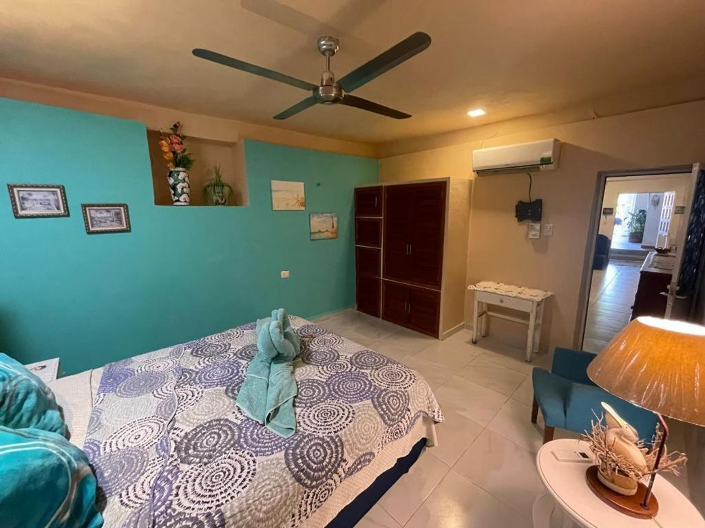 女人岛Casa El Quinto Elemento, Departamento Tierra!公寓 外观 照片